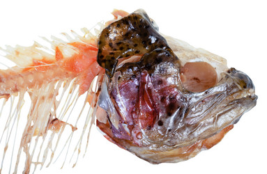 Similar image 10946745