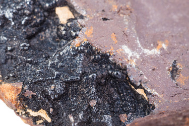 Similar image 10946922