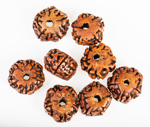 Similar image 10946947