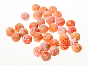 Similar image 10946746