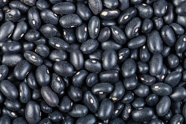 Similar image 10946771