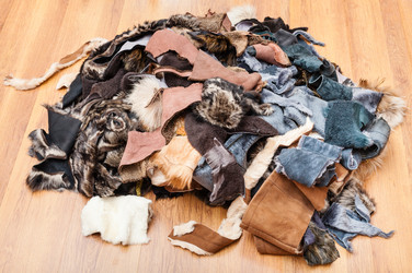 Similar image 10946785