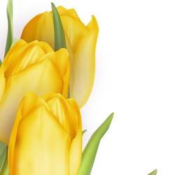 Similar image 10950307