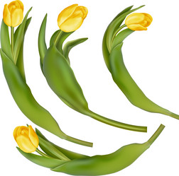 Similar image 10950332