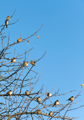 Similar image 10943693