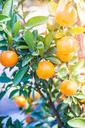 Similar image 10944325