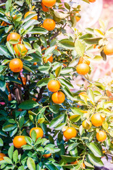 Similar image 10944267