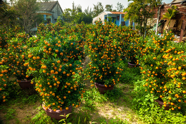 Similar image 10944270