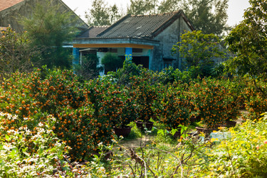 Similar image 10944271