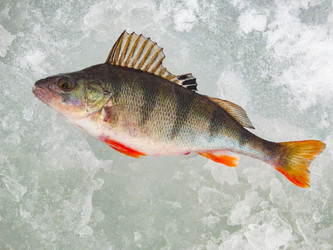 Similar image 10951240