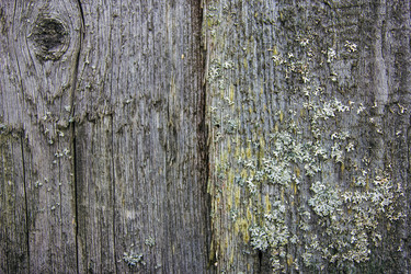 Similar image 10943856