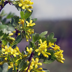 Similar image 10943844