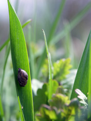 Similar image 10943845