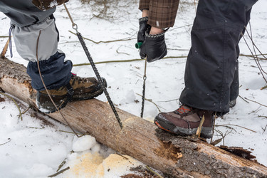 Similar image 10944879