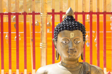 Similar image 10944262