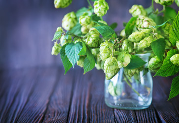 Similar image 10951830