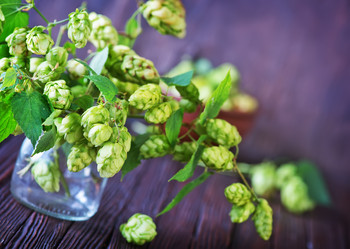 Similar image 10952702