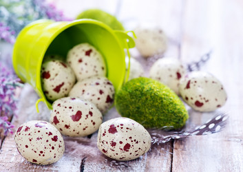 Similar image 10951101