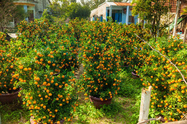 Similar image 10949792