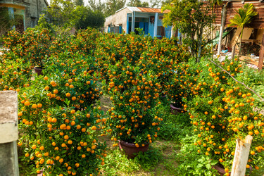 Similar image 10949801