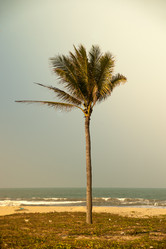 Similar image 10949812