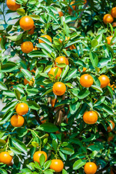 Similar image 10949909