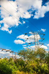 Similar image 10949911