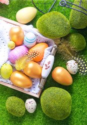 Similar image 10951846