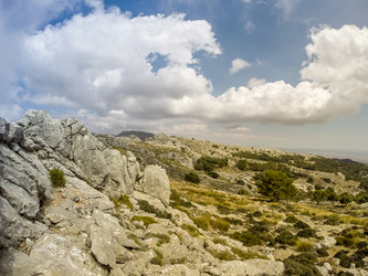 Similar image 10949988