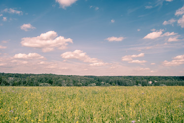 Similar image 10950004