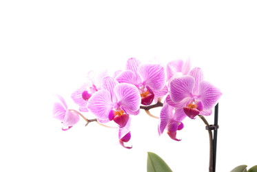 Similar image 10950006