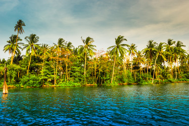 Similar image 10950008