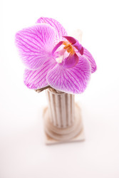 Similar image 10950030