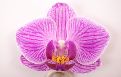 Similar image 10950031