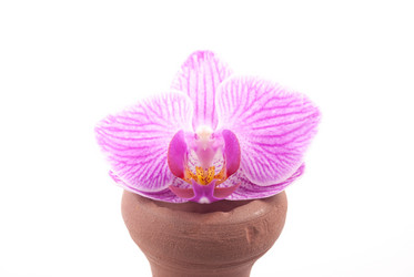 Similar image 10950043