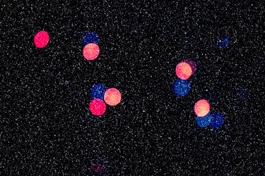 Similar image 10950048