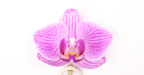 Similar image 10950050