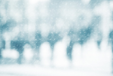 Similar image 10950074