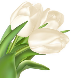 Similar image 10950337