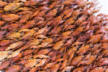 Similar image 10945047