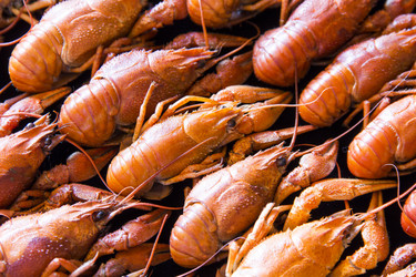 Similar image 10945048