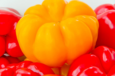 Similar image 10945056