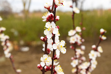 Similar image 10945432