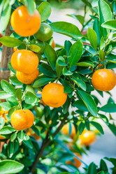 Similar image 10949715