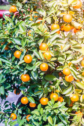 Similar image 10949821