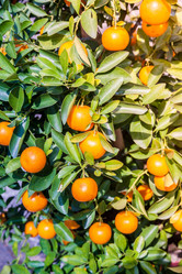 Similar image 10949828