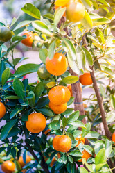 Similar image 10949913