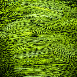 Similar image 10949938