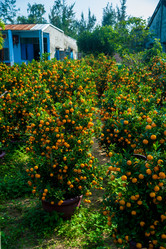 Similar image 10949939