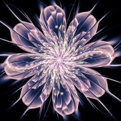 Similar image 10949953